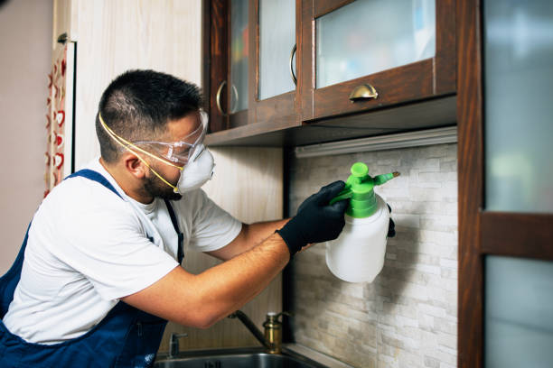 Professional Pest Control in Mather, CA