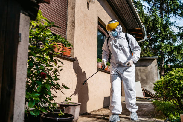 Best Ant Control Services  in Mather, CA