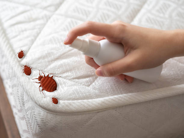 Best Commercial Pest Control Services  in Mather, CA